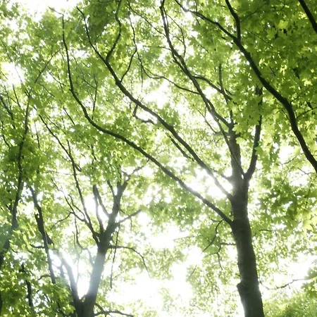 La Nuova Terra Pensjonat
